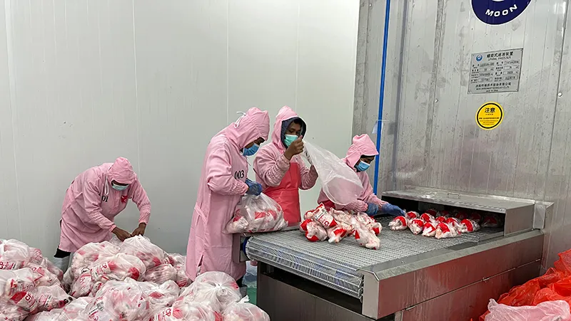 Projet de transformation de volaille en Indonésie – 1,2 million de poulets par jour