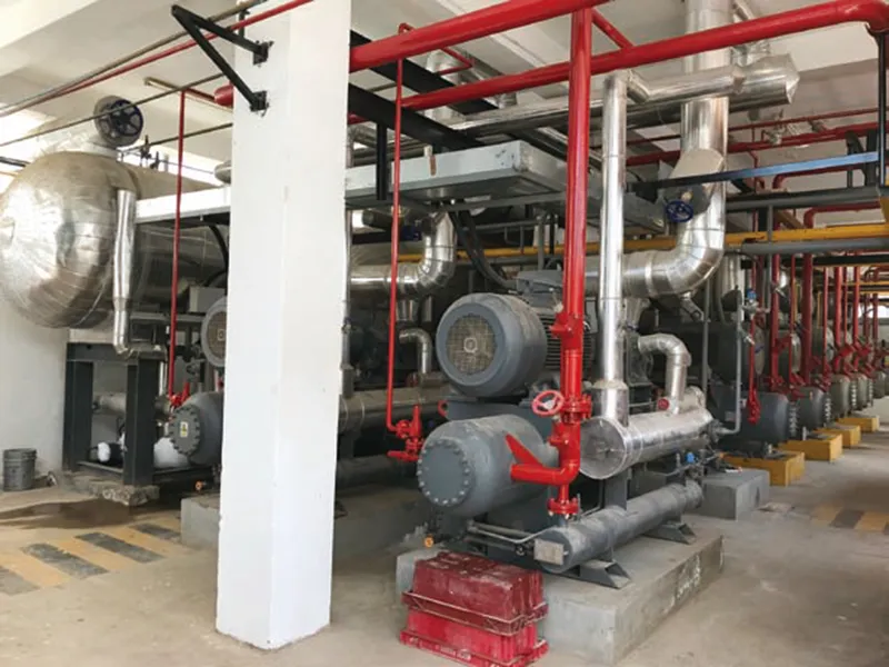 Installation de transformation et de stockage frigorifique de Spring Valley au Pérou