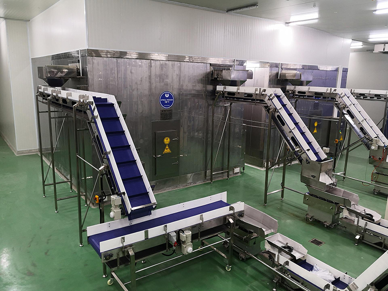 Projet d’usine de transformation alimentaire pour Citra, Indonésie