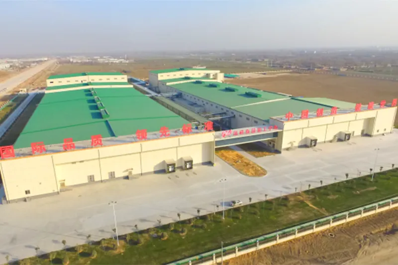 Projet intégré d’élevage et de transformation de volailles de Shandong Fengxiang