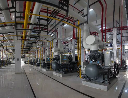 Transformation hautement automatisée et maîtrise précise du froid