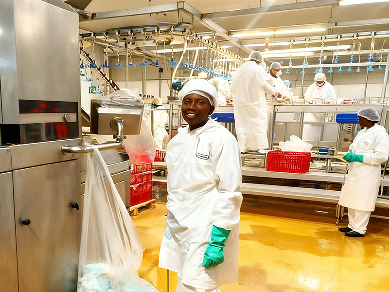 Projet d’équipement de surgélation à spirale pour BC Company, Afrique du Sud