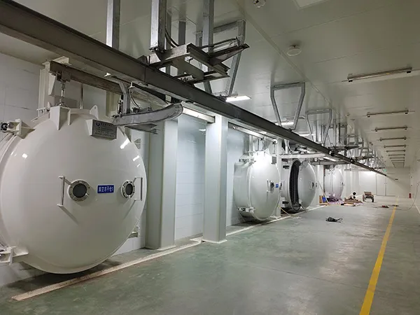 Projet de ligne de production par lyophilisation d’une usine alimentaire au Yunnan, Chine
